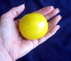Fab Fruit