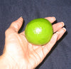 Fab Fruit