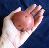 Fab Fruit